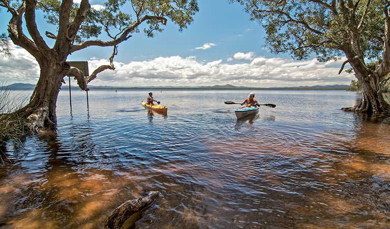 Mungo Brush campground, Myall Lakes National Park. Photo: John Spencer