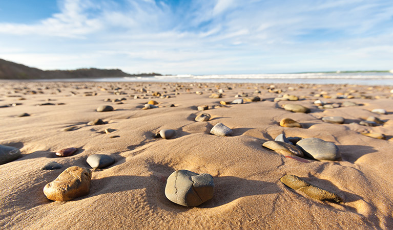 Pebbles on Yuraygir Coastal walk, Yuraygir National Park. Photo: Rob Cleary