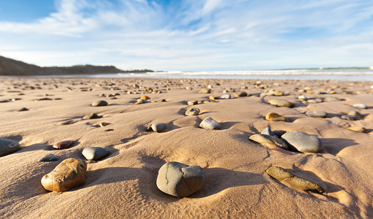 Pebbles on Yuraygir Coastal walk, Yuraygir National Park. Photo: Rob Cleary