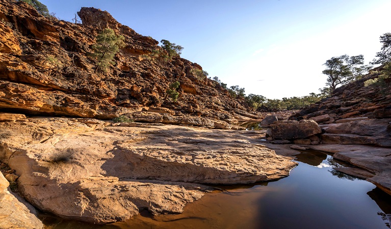 Mutawintji gorge walk in Mutawintji National Park. Photo: John Spencer/OEH