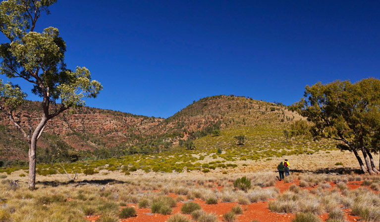 Mulgowan walk, Gundabooka National Park. Photo: David Finnegan