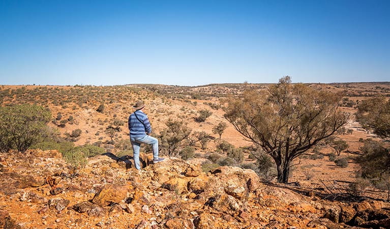 A man stands at The Gorge lookout in Sturt National Park. Photo: John Spencer &copy; DPIE