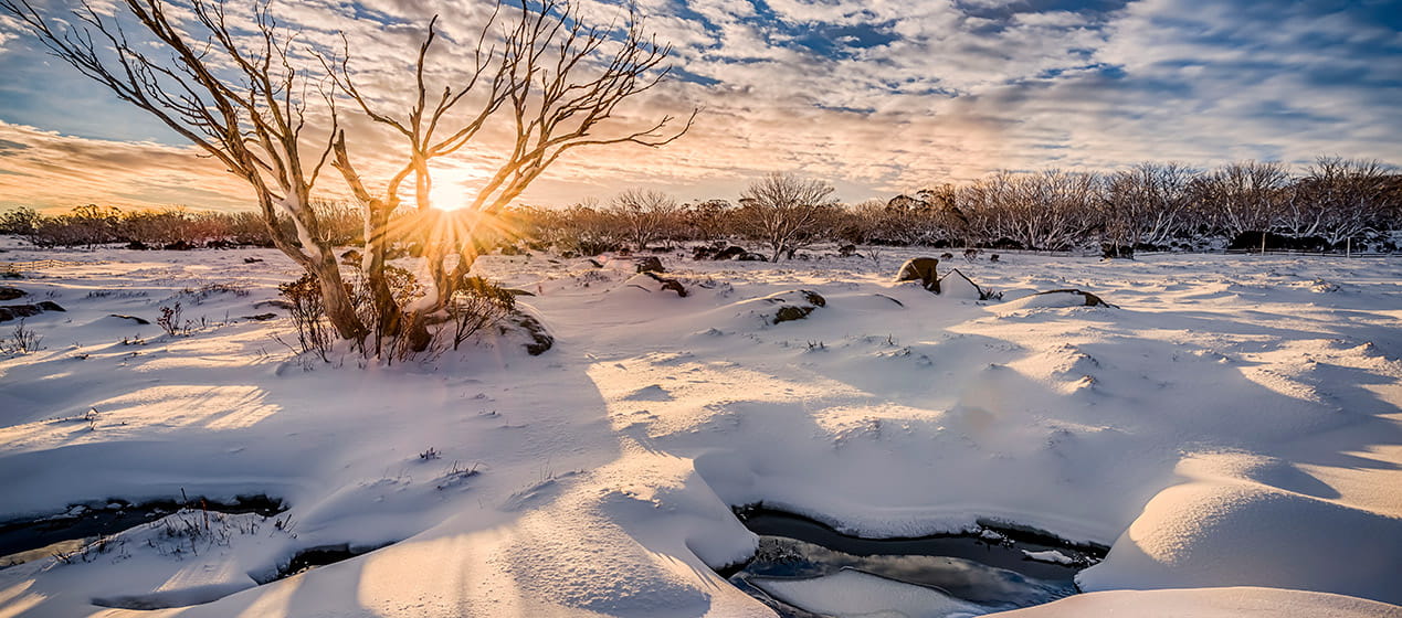 Sunrise over a snow covered field, Kosciuszko National Park. Photo: John Spencer