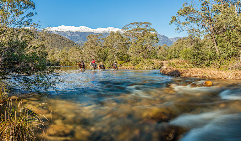 Horse riding below the Western Fall, Geehi, Kosciuszko National Park. Photo: Murray Vanderveer