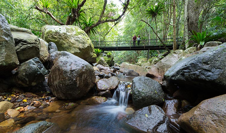 Walkers on a bridge, Budderoo National Park. Photo: David Finnegan