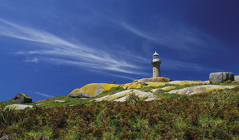 Montague Island Lightstation, Barunguba Montague Island Nature Reserve. Photo: Stuart Cohen/NSW Government