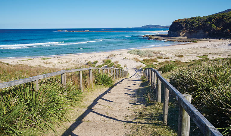 Pretty Beach, Murramarang National Park. Photo: Nick Cubbin/OEH