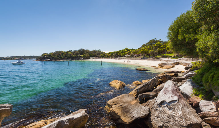 Neilsen Park, Sydney Harbour National Park. Photo: David Finnegan