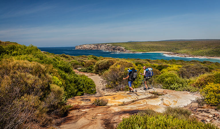 Hikers walking along The Coast track, Royal National Park. Photo: David Finnegan