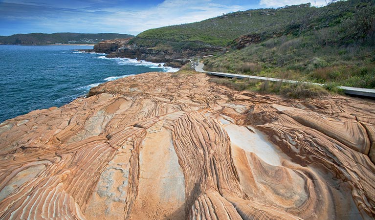 Bouddi Coastal walk, Bouddi National Park. Photo: Nick Cubbin/OEH