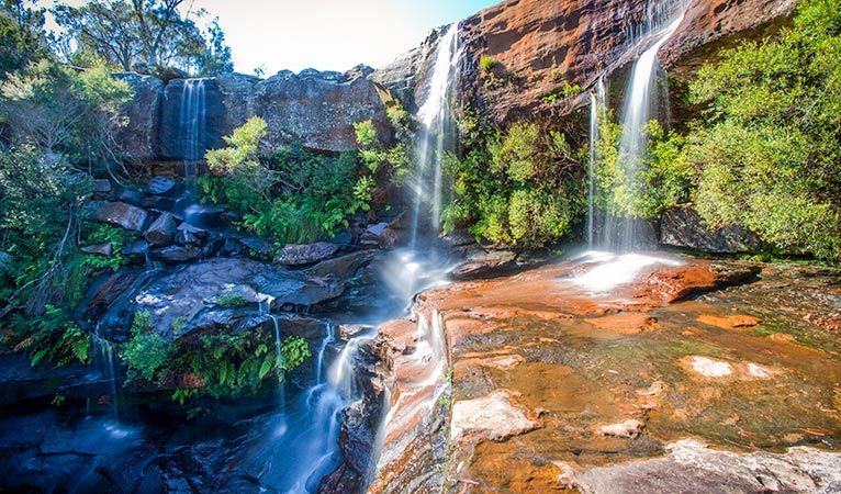 Maddens Falls, Dharawal National Park. Photo: Nick Cubbin/OEH