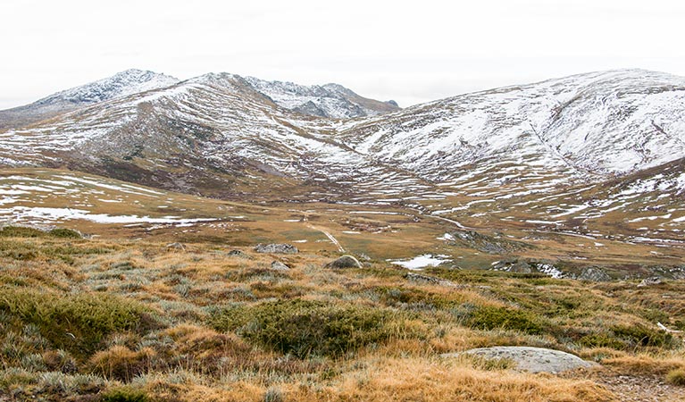 Mount Kosciuszko summit. Photo: John Spencer/DPIE