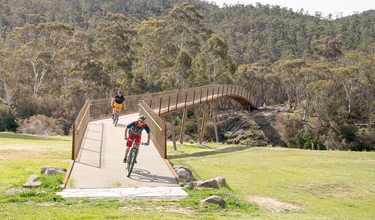 2 mountain bikers riding over a bridge on Thredbo Valley track. Photo: Robert Mulally/DPIE
