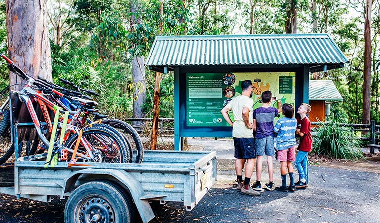 Family reading the bike trails map in Bongil Bongil National Park. Photo: Jay Black/DPIE