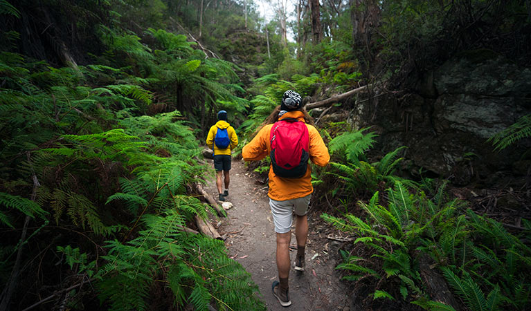 Bushwalkers in Wollemi National Park. Daniel Tran/DPIE