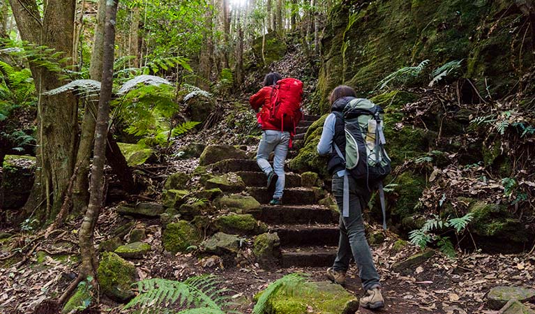 Bushwalkers in Blue Mountains National Park. Simone Cottrell/DPIE