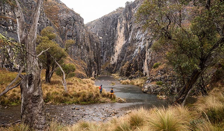 Hikers in Kosciuszko National Park. Rob Mulally/DPIE