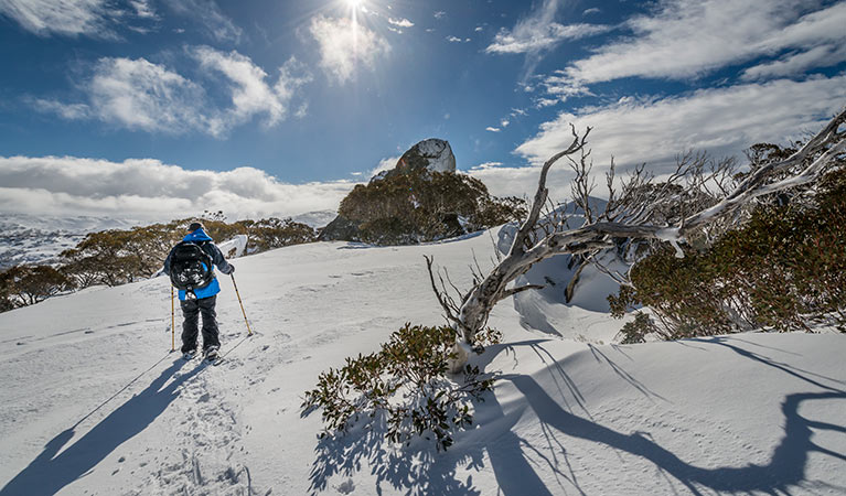 Snow skiing in Kosciuszko National ParkPhoto: John Spencer/DPIE