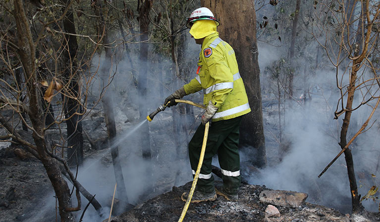 NPWS staff member conducting a controlled burn. Photo: David Croft/DPIE