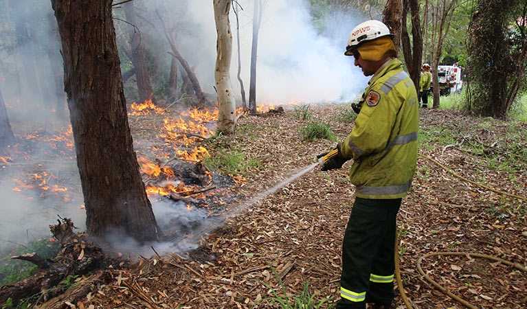 NPWS staff member conducting a controlled burn. Photo: David Croft/DPIE