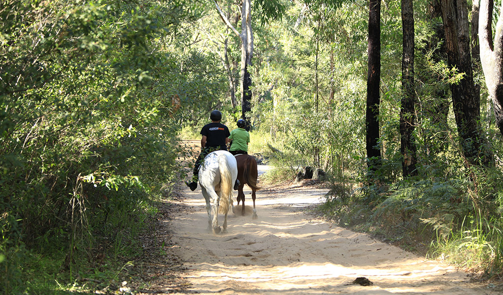 People in helmets horse riding. Credit: Rosie Nicolai/DCCEEW &copy; Rosie Nicolai