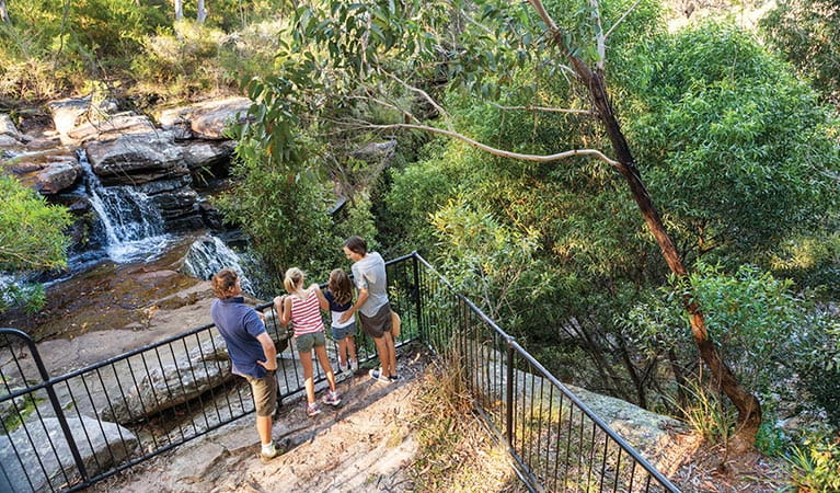 A family on a viewing platform at National Falls in Royal National Park. Photo: David Finnegan/DPIE