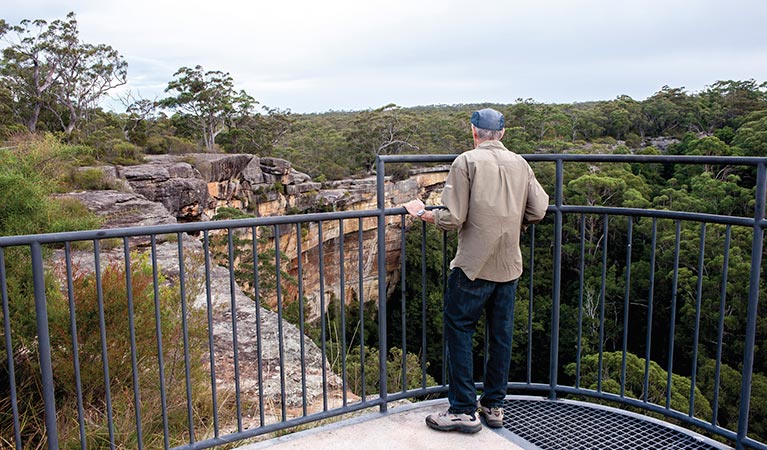 A man behind a railing looking out to Tianjara Falls in Morton National Park. Photo: Michael van Ewijk/DPIE