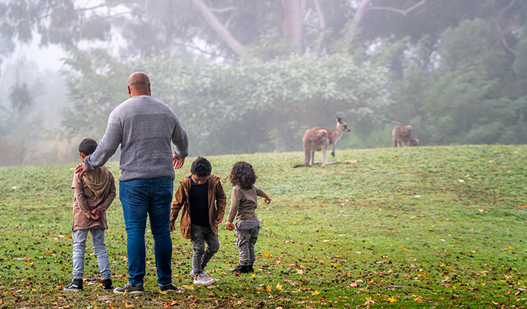 Father and children keeping a safe distance from grazing kangaroos at Cattai National Park. Photo credit: John Spencer. <HTML>&copy; DPIE