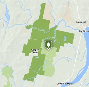 Everlasting Swamp National Park static map