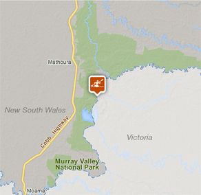 Map of Murray River canoe trails in Murray Valley National Park