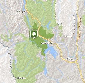 Map of Selwyn area in Kosciuszko National Park. Image: OEH