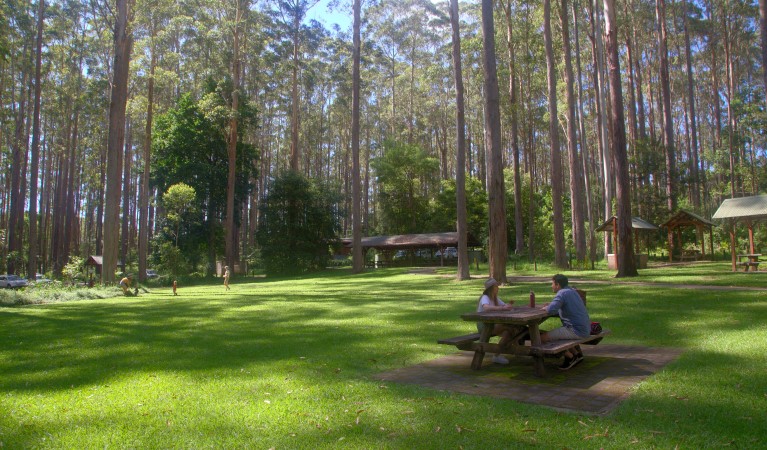 A couple sitting at a picnic table at Bongil picnic area in Bongil Bongil National Park. Photo: Simon Grant &copy; DPE