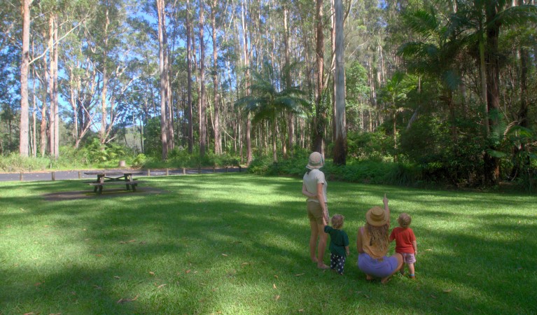 A family birdwatching at Bongil picnic area in Bongil Bongil National Park. Photo: Simon Grant &copy; DPE