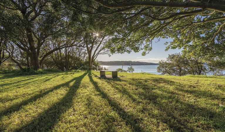Harbour views through the trees at Bottle and Glass Point, Sydney Harbour National Park. Photo: John Spencer/DPIE