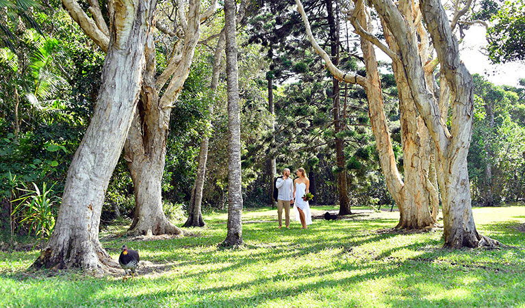 A couple walking through trees at Broken Head lawn in Broken Head Nature Reserve. Photo: Fiora Sacco &copy; DPIE