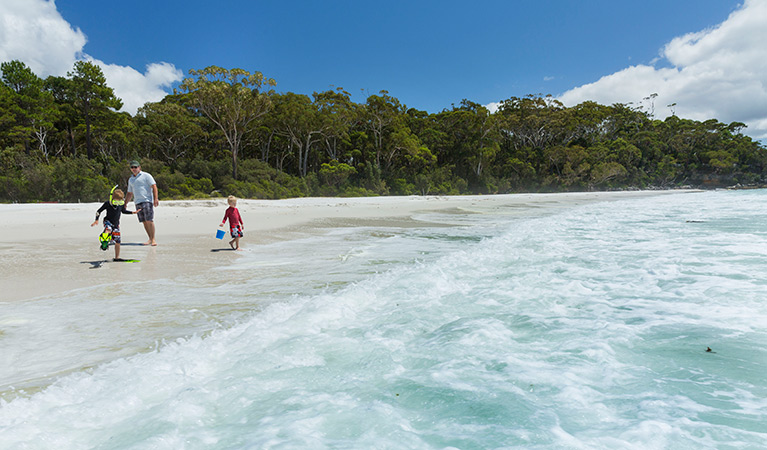 Venue Hire Chinamans Beach Nsw National Parks