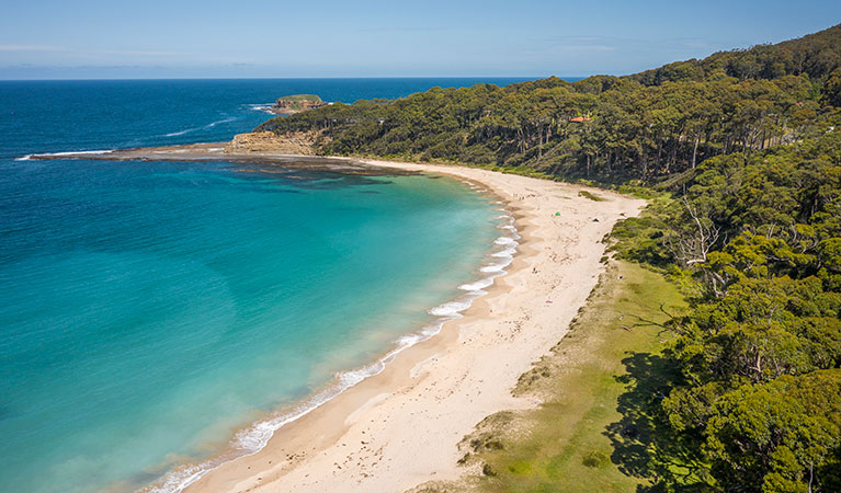 Aerial shot of Depot beach and lawn, including ocean and surrounding bushland. Photo: John Spencer &copy; DPIE