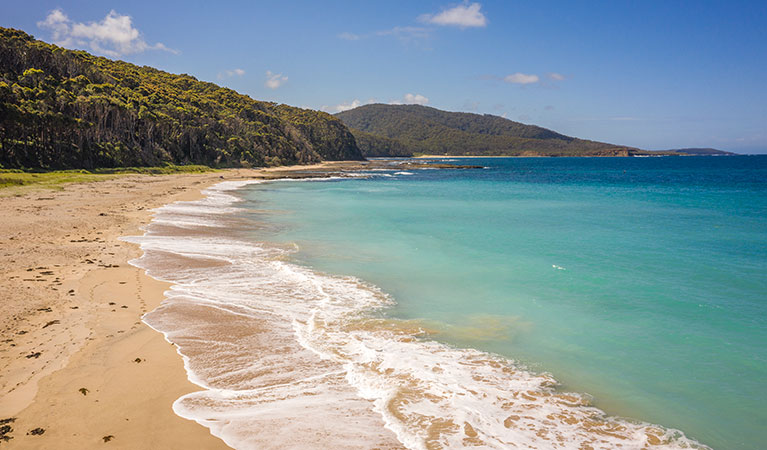 The sand and ocean with bushland in the background at Depot Beach in Murramarang National Park. Photo: John Spencer &copy; DPIE