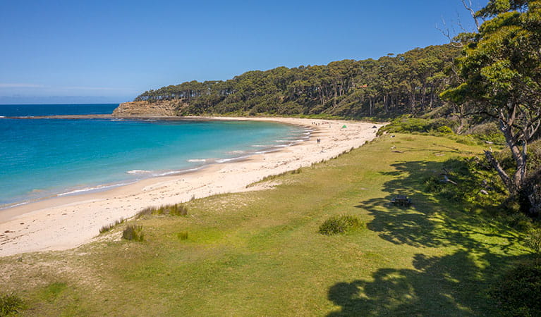 The lawn at Depot beach with the beach and bushland in the background in Murramarang National Park. Photo: John Spencer &copy; DPIE