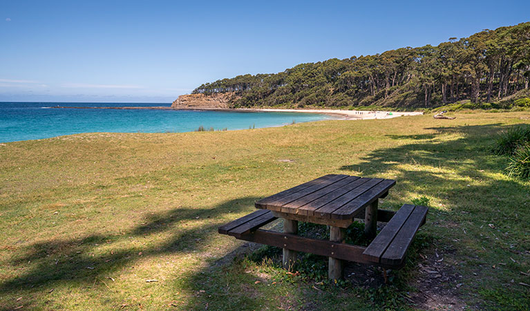 A picnic table at Depot Beach lawn in Murramarang National Park. Photo: John Spencer &copy; DPIE