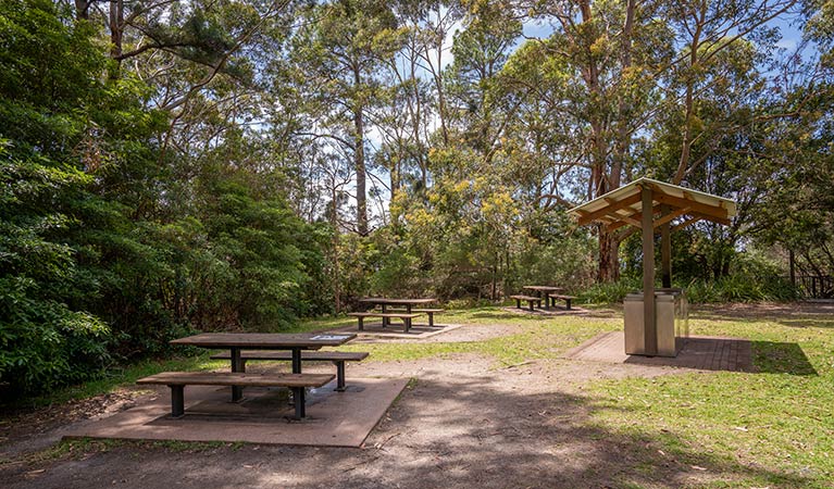 Picnic tables and a covered barbecue at Greenfield Beach picnic area in Jervis Bay National Park. Photo: John Spencer &copy; DPIE