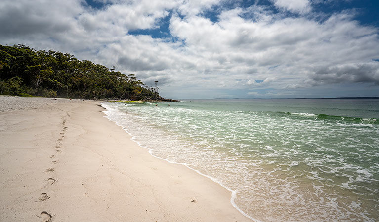 The white sands and clear waters of Greenfield Beach in Jervis Bay National Park. Photo: John Spencer &copy; DPIE