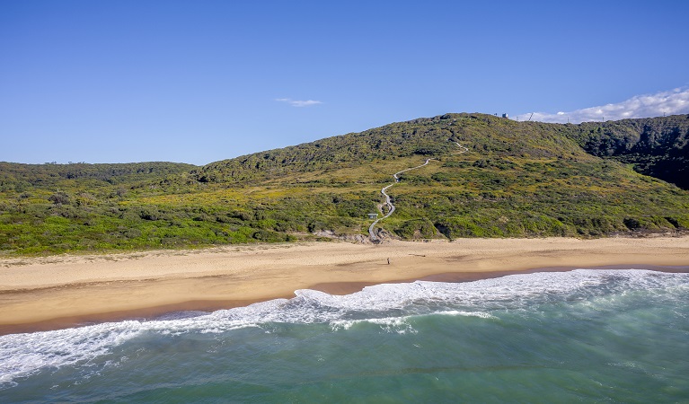 View from beach of walking track leading to Hickson Street lookout. Photo credit: John Spencer &copy; DPIE  