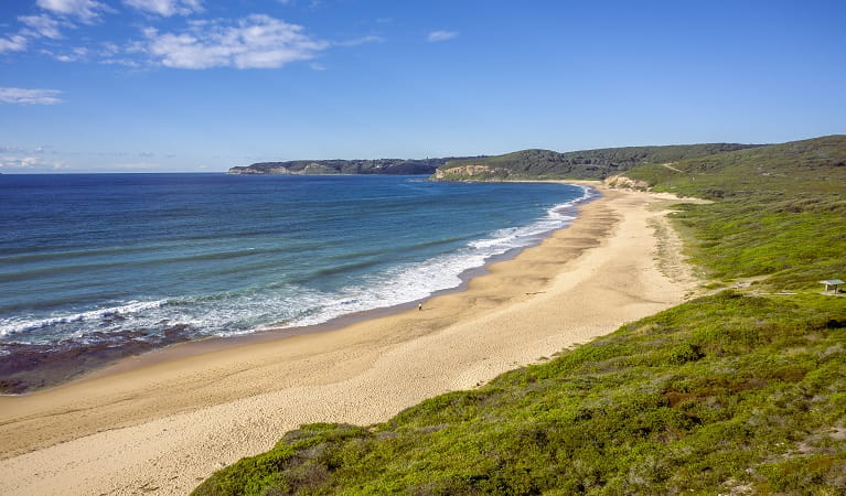 Aerial view of pristine beach,  bushland and ocean from Hickson Street lookout in Glenrock State Conservation Area. Photo credit: John Spencer &copy; DPIE  