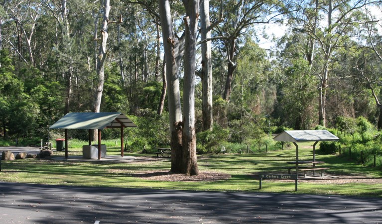 A picnic and barbecue shelter surrounded by trees with carpark in the foreground at Carter Creek picnic area, Lane Cove National Park. Photo: Nathan Askey-Doran &copy; DPIE