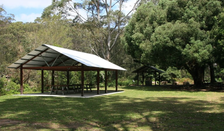 A large picnic shelter next to trees at Casuarina Point picnic area in Lane Cove National Park. Photo: Nathan Askey-Doran &copy; DPIE