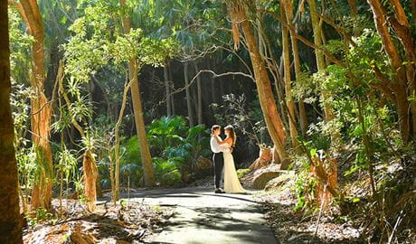 A couple surrounded by coastal rainforest at Palm Valley lawn in Cape Byron State Conservation Area. Photo: Fiora Sacco &copy; DPIE