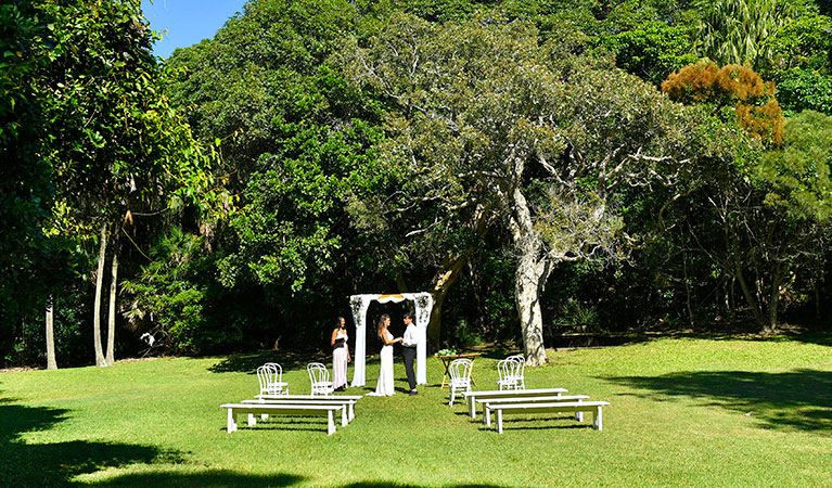 A couple saying their vows under a wedding arch on Palm Valley lawn in Cape Byron State Conservation Area. Photo: Fiora Sacco &copy; DPIE