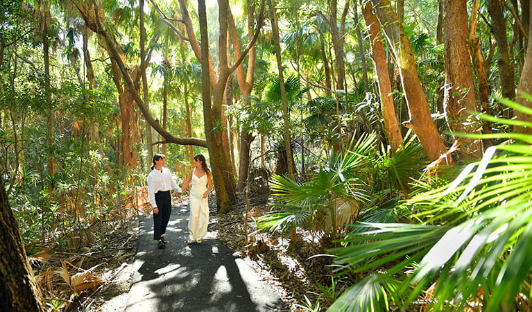 A couple walking through coastal rainforest at Palm Valley lawn in Cape Byron State Conservation Area. Photo: Fiora Sacco &copy; DPIE