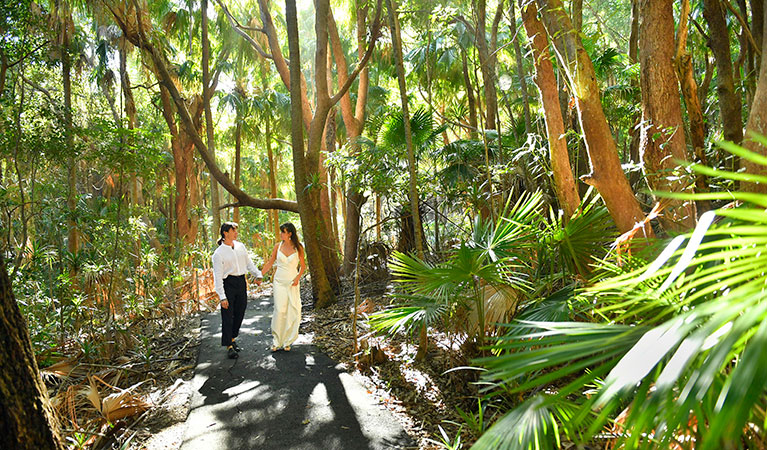 A couple walking through coastal rainforest at Palm Valley lawn in Cape Byron State Conservation Area. Photo: Fiora Sacco &copy; DPIE